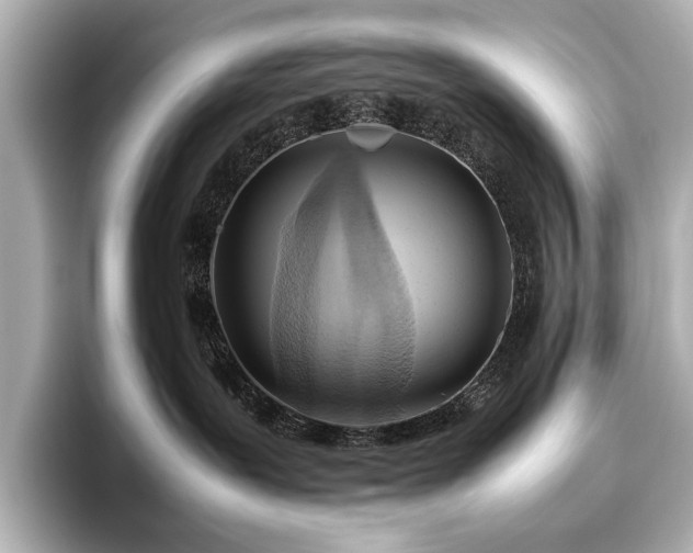 X0000096640239200802051135