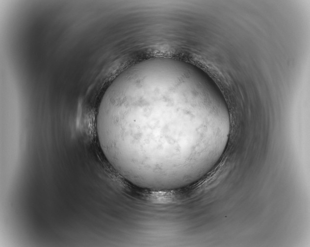 X0000096640240200802051135