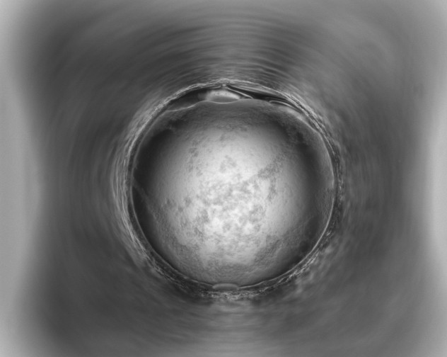 X0000096640241200802051134