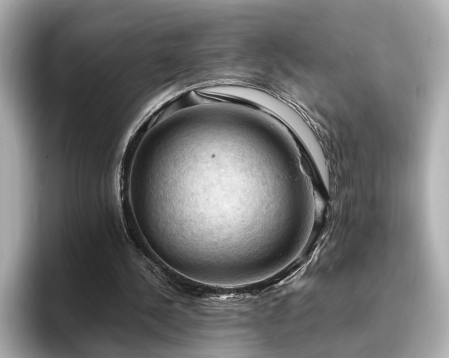 X0000096640244200802051134