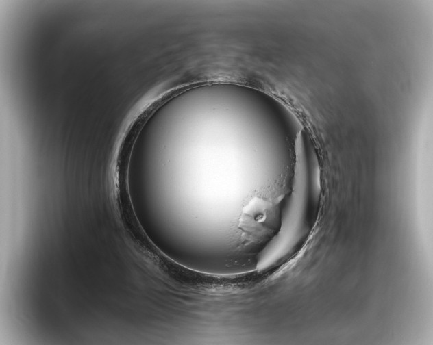 X0000096640246200802051134