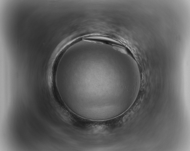 X0000096640247200802051134