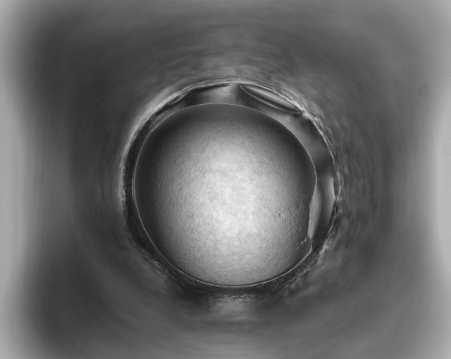 X0000096640248200802051134