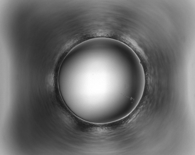 X0000096640250200802051134