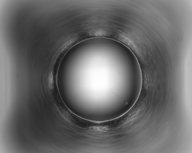 X0000096640251200802051134