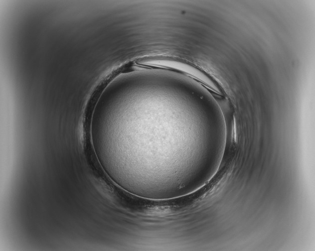 X0000096640252200802051134