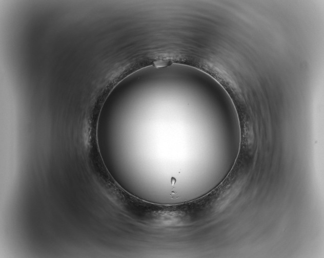 X0000096640255200802051134