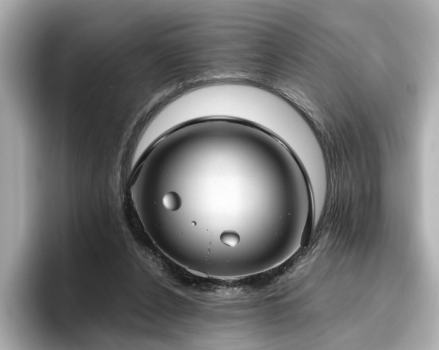 X0000096640256200802051134