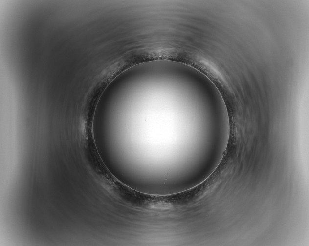 X0000096640258200802051134