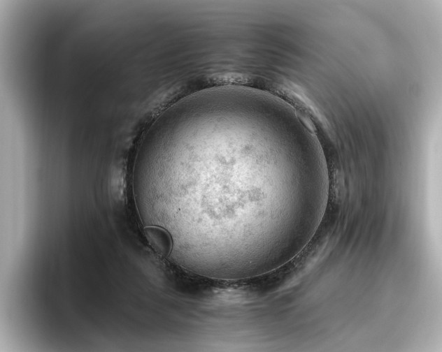X0000096640259200802051134