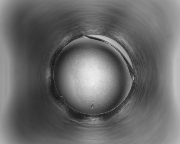 X0000096640260200802051134