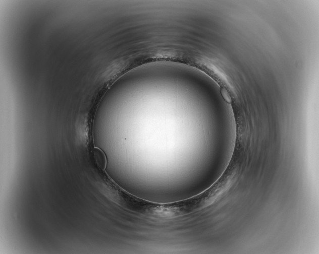 X0000096640261200802051134