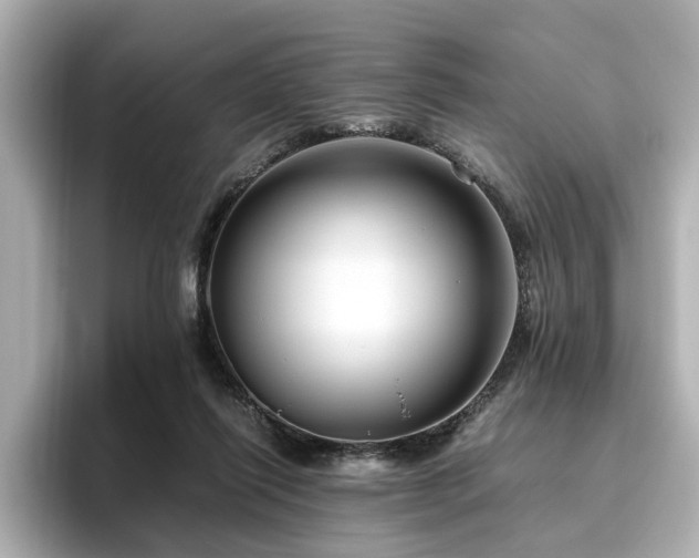 X0000096640262200802051134