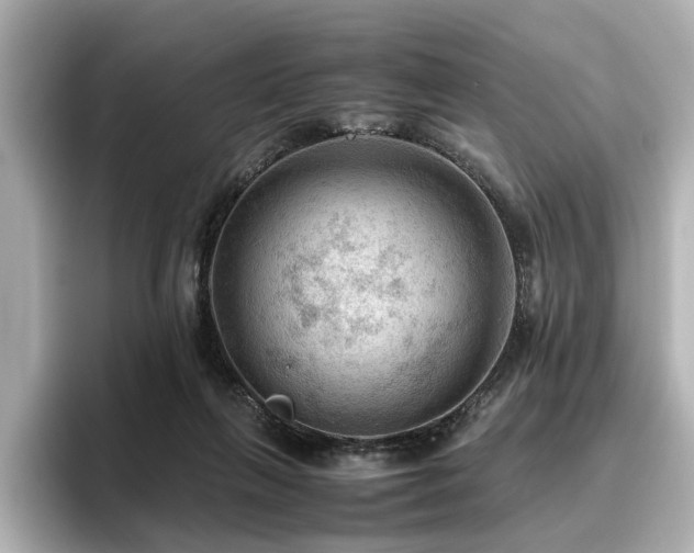 X0000096640263200802051134