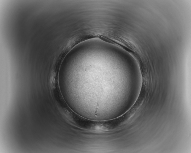 X0000096640264200802051134