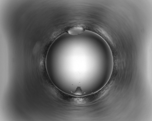 X0000096640265200802051134