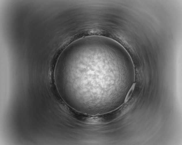 X0000096640269200802051134
