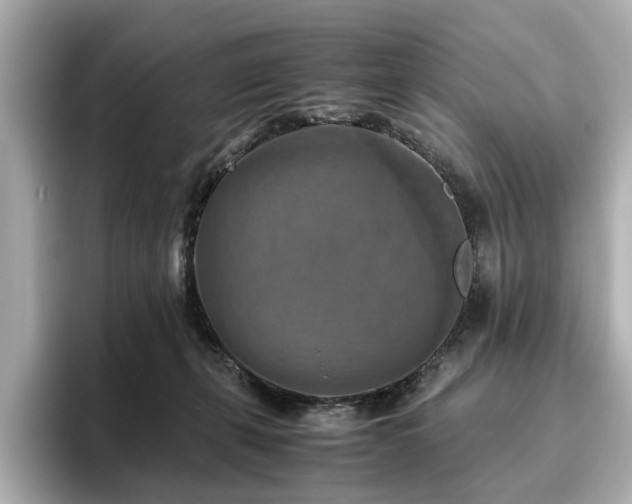 X0000096640271200802051134