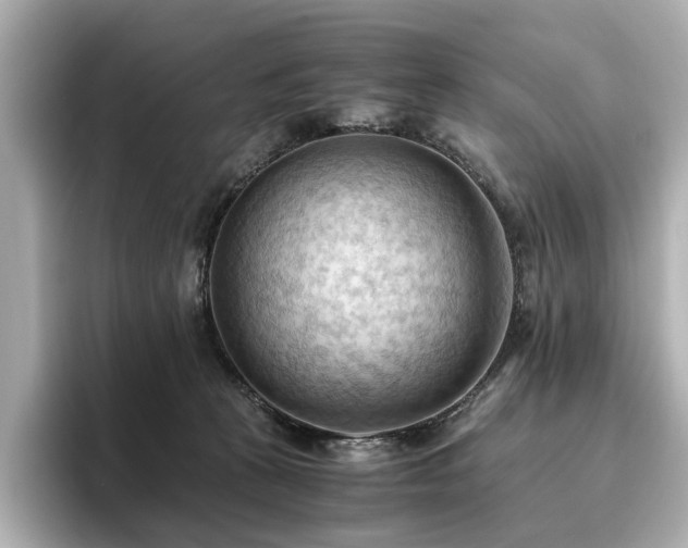 X0000096640273200802051134