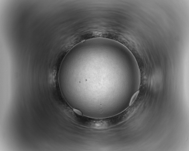 X0000096640275200802051134