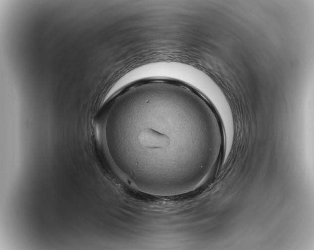 X0000096640276200802051134