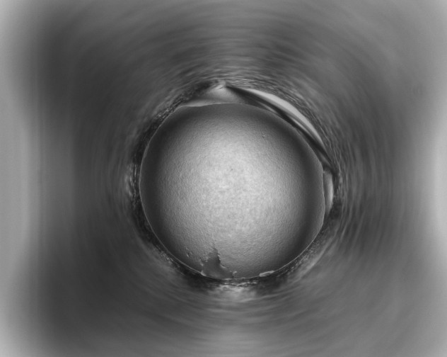 X0000096640280200802051134