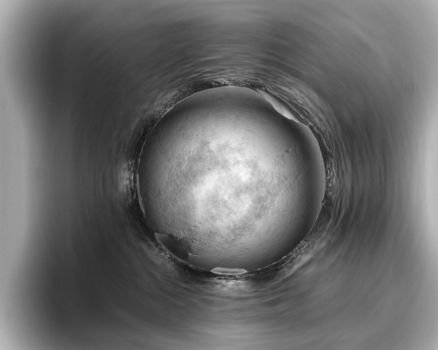 X0000096640284200802051134