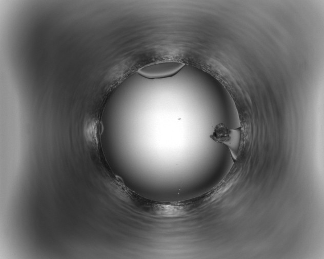 X0000096640286200802051135
