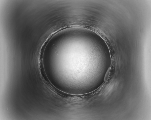 X0000096640290200802051134