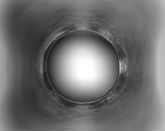 X0000096640291200802051134