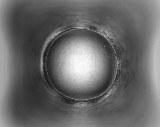 X0000096640294200802051134