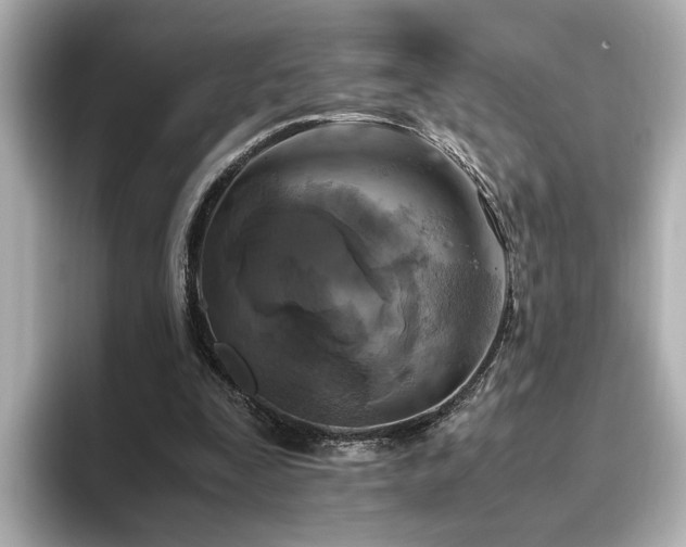 X0000096640295200802051134