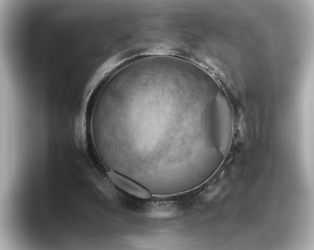 X0000096640296200802051134