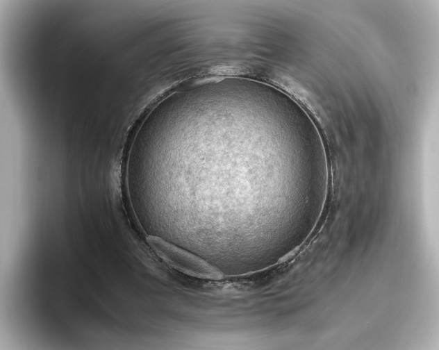 X0000096640297200802051134