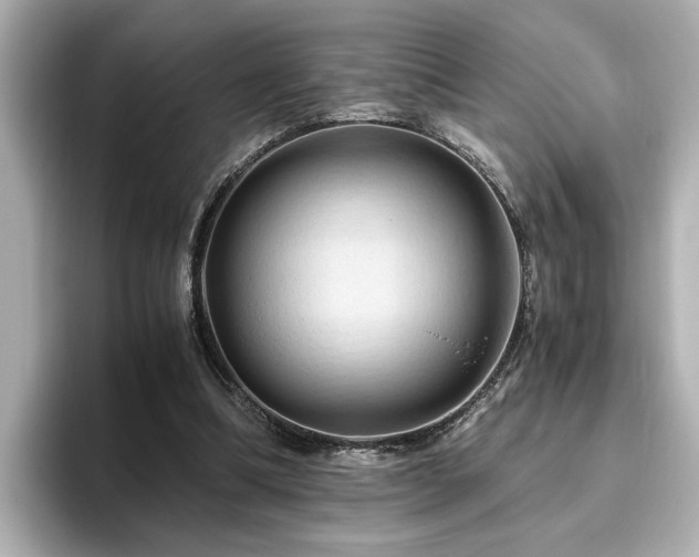 X0000096640298200802051134