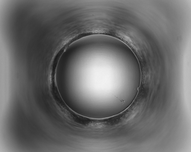 X0000096640299200802051134