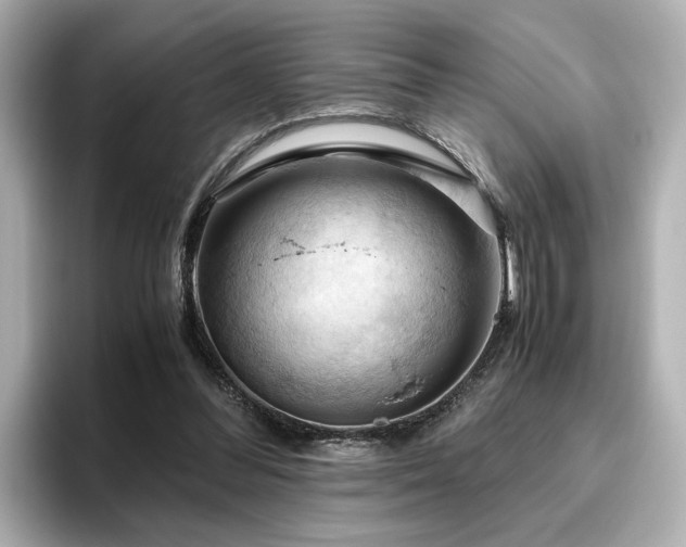 X0000096640300200802051134
