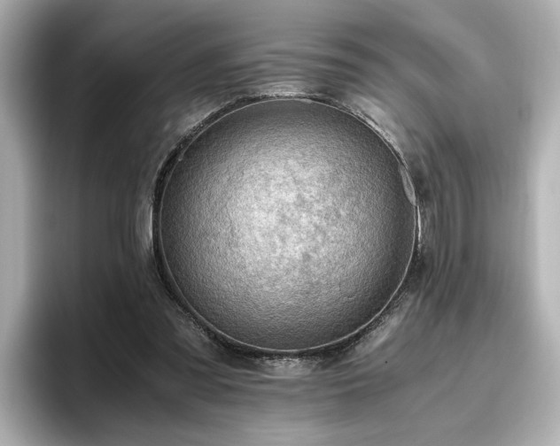 X0000096640301200802051134