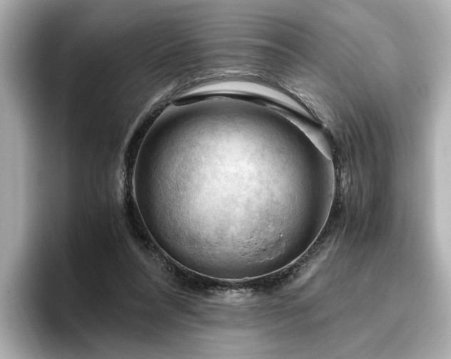 X0000096640304200802051134