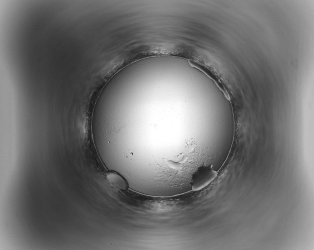 X0000096640305200802051134