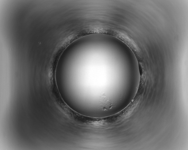 X0000096640306200802051134