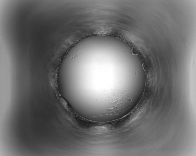 X0000096640307200802051134