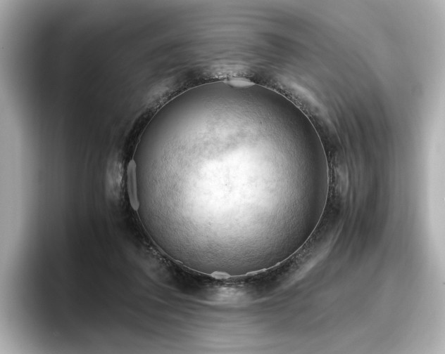 X0000096640308200802051134