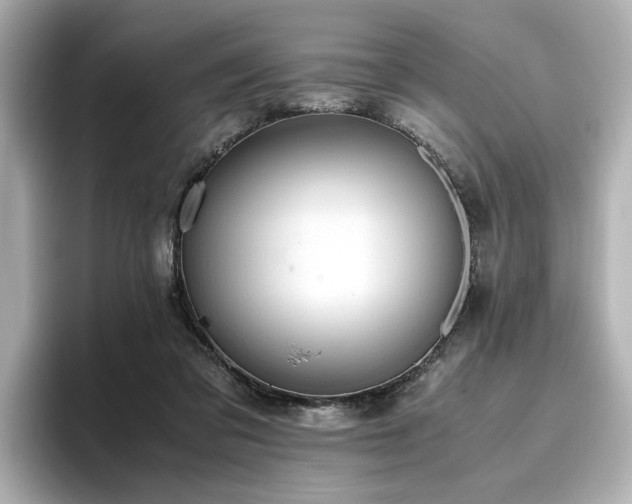 X0000096640309200802051134