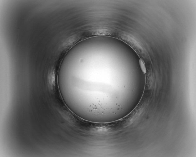 X0000096640310200802051134
