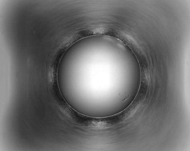 X0000096640311200802051134
