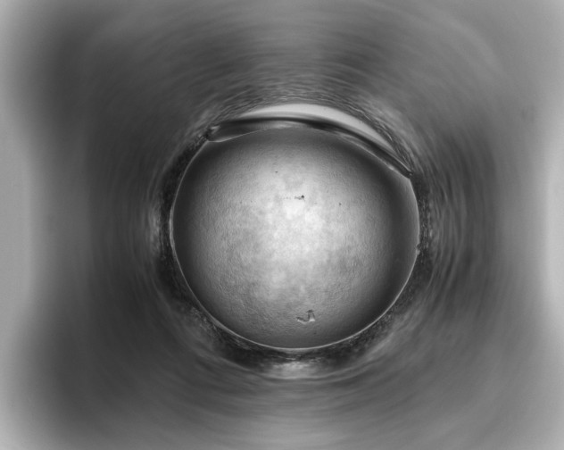 X0000096640312200802051134