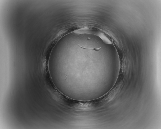 X0000096640314200802051134