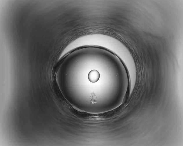 X0000096640316200802051134