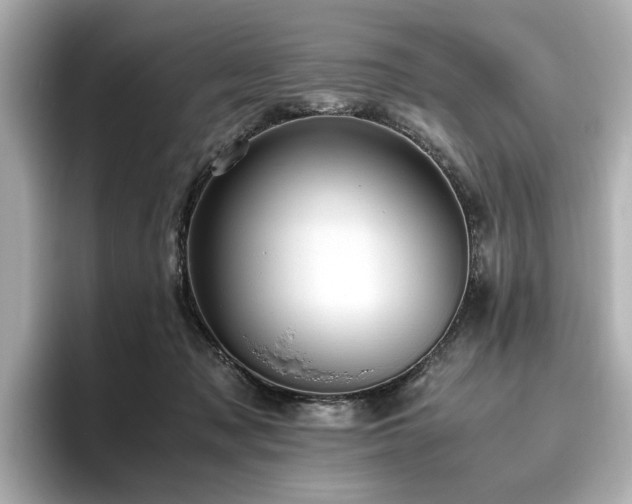 X0000096640317200802051134
